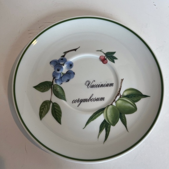 Apilco French Elysian Garden Porcelaine Oversized Breakfast Cup and Saucer - Picture 10 of 15